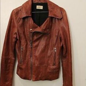 Juno Moto Leather Jacket